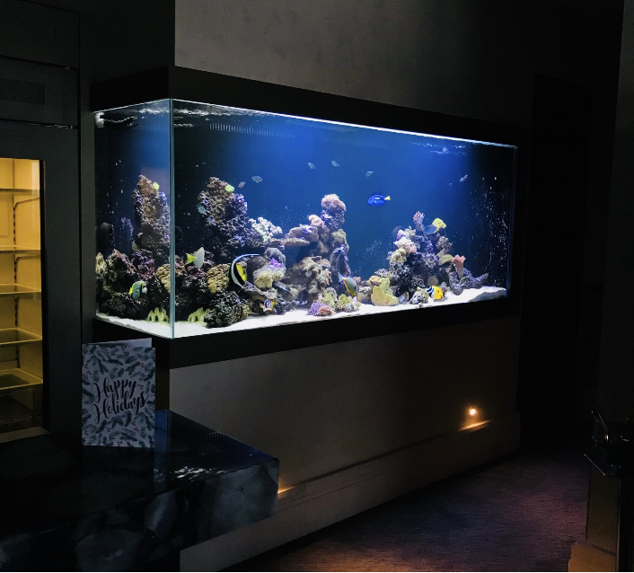 clients custom aquarium in his basement